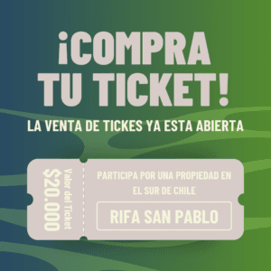 Imagen de Ticket